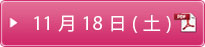 日程表 11月18日（土）